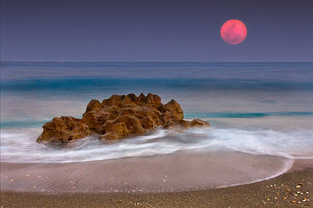 JUPITER BEACH: